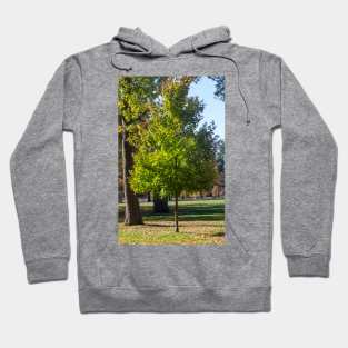 Standing Beauty Hoodie